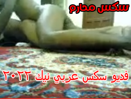 فديو سكس عربي نيك 2022