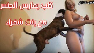 فديو كلب يمارس الجنس مع بنت شقراء و نيك عميق