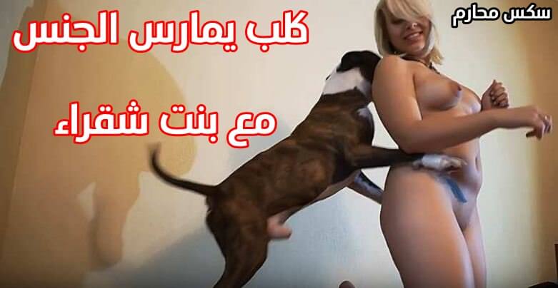 مشاهدة كلب يمارس الجنس مع بنت شقراء و نيك عميق