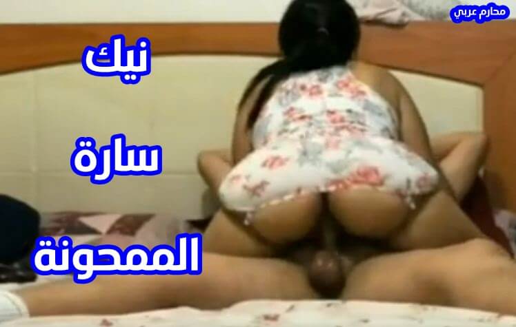 مقاطع سيكس بورنو مصري نيك سارة الممحونة