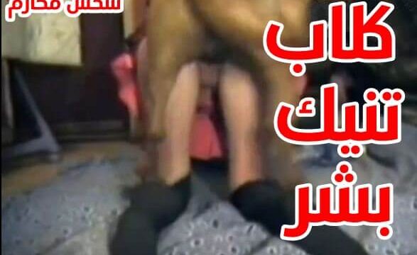 كلاب تنيك بشر بنات هايجه تتناك من زب الكلب ساخن