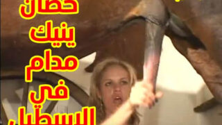 جنس حيوانات سكس حصان ينيك مدام في الاسطبل