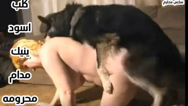 شاهد سكس حيوانات كلب ينيك مدام محرومه جنس حيوانات