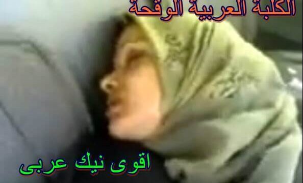 سكس عربى نيك 2023 محقبه تناك من صديقه